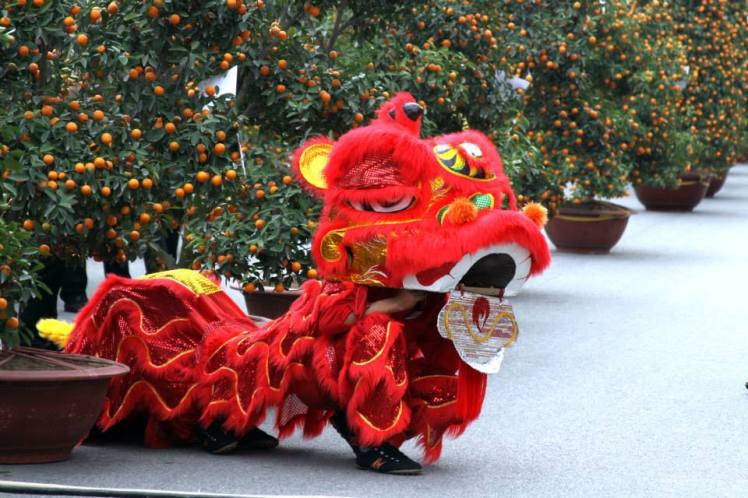 Visitting Vietnam during Tet: Lion dance to welcome a new year